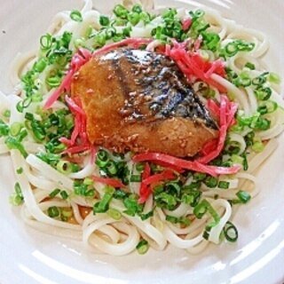 冷凍うどんで☆さばみそ煮のせ冷やしうどん♪